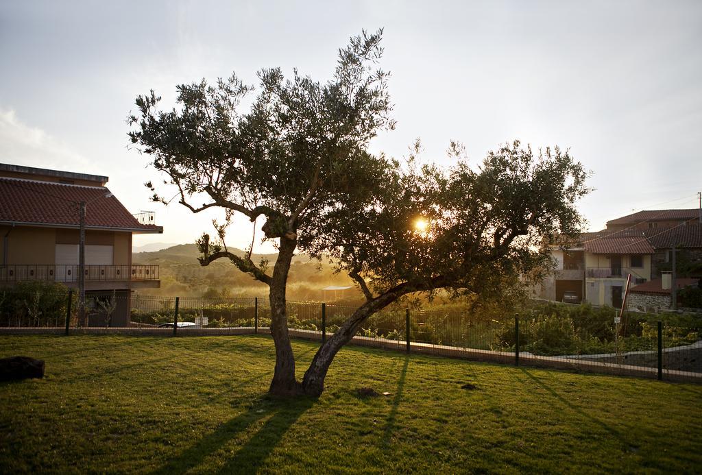 Casas De Vale De Lobo Villa Mirandela Exterior foto